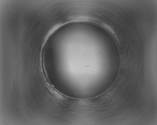 X0000051911480200507011520