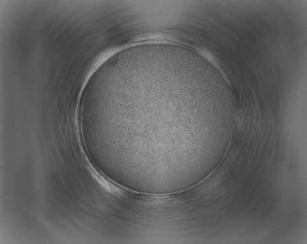 X0000051911482200507011520