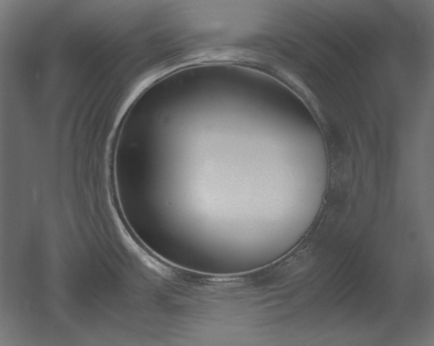 X0000051911483200507011520