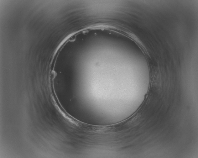 X0000051911484200507011520