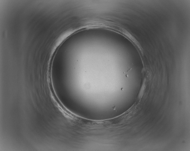 X0000051911485200507011520