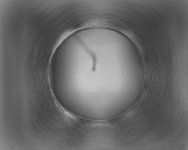 X0000051911486200507011520