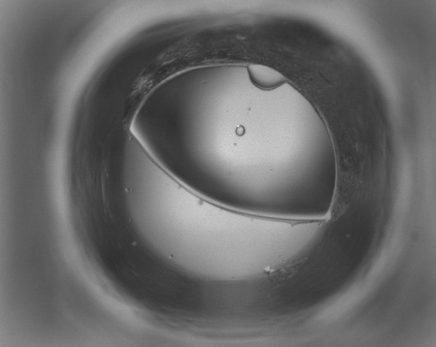 X0000051911487200507011520