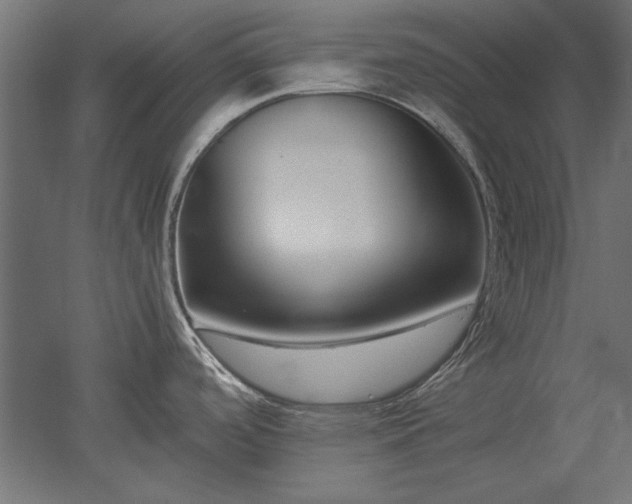 X0000051911488200507011520