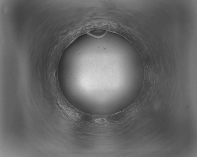 X0000051911489200507011519