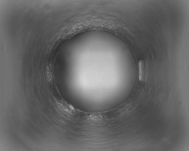 X0000051911491200507011519