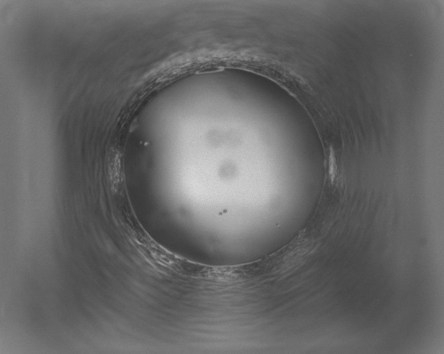 X0000051911492200507011519