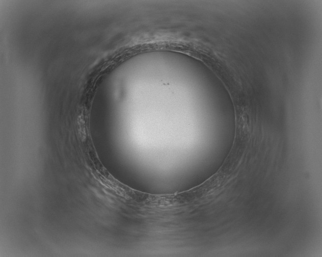 X0000051911493200507011520