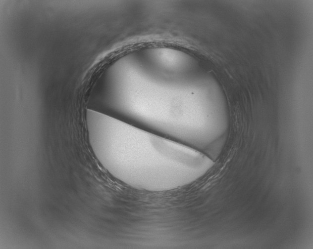 X0000051911494200507011520