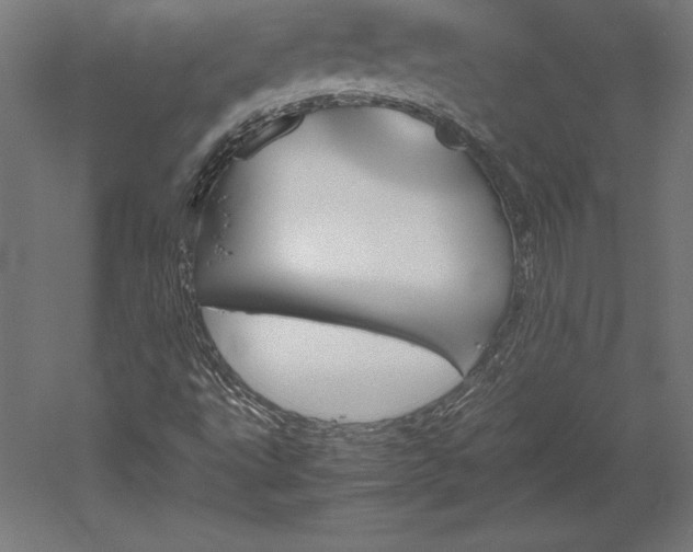 X0000051911495200507011520