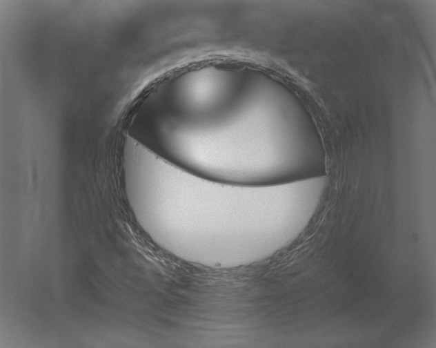 X0000051911496200507011520