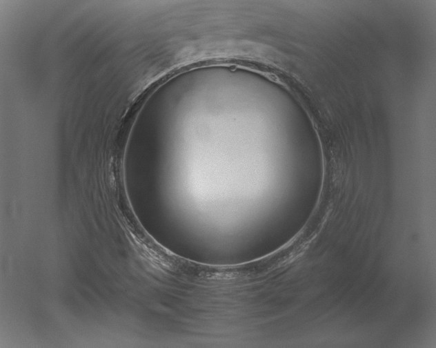 X0000051911497200507011520