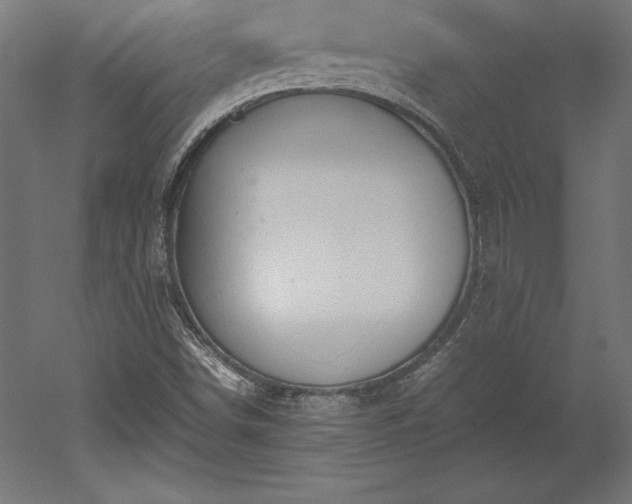 X0000051911498200507011520