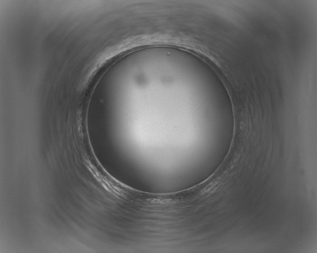 X0000051911499200507011520