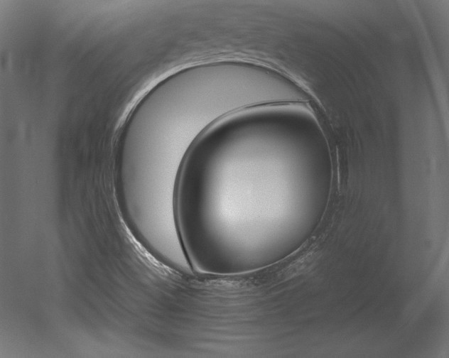 X0000051911500200507011520