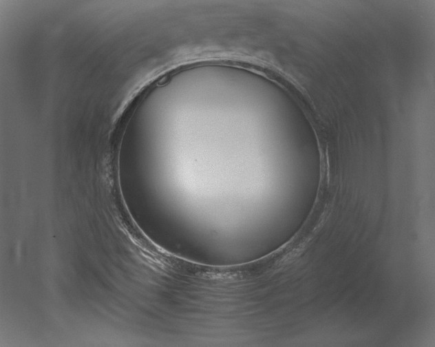 X0000051911501200507011520