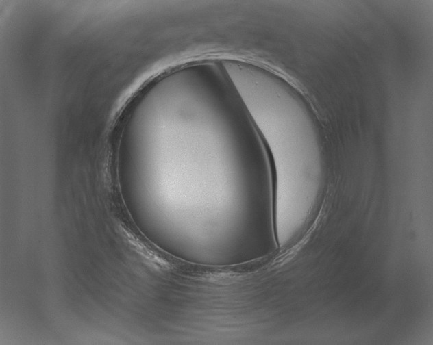 X0000051911502200507011520