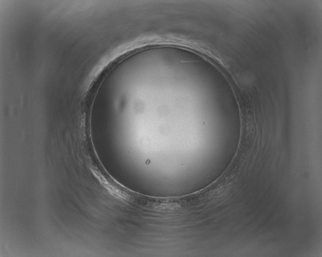 X0000051911503200507011520