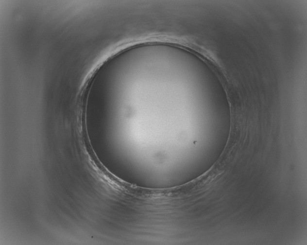 X0000051911504200507011520