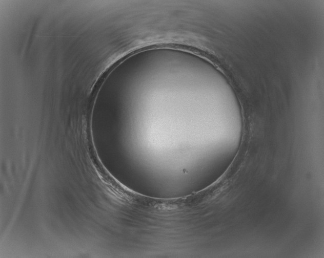 X0000051911505200507011520