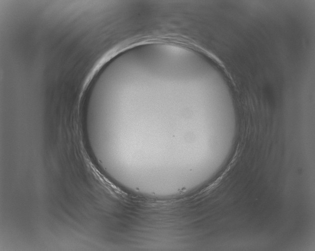 X0000051911506200507011520