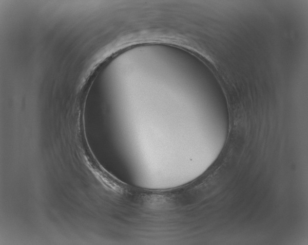 X0000051911507200507011520