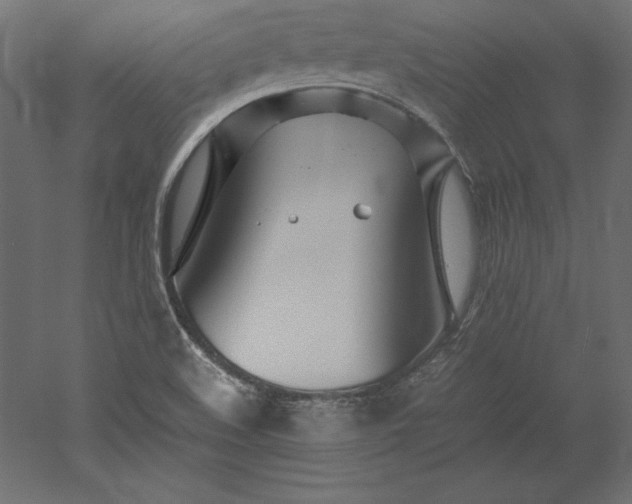 X0000051911508200507011520