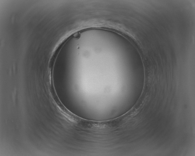 X0000051911509200507011520