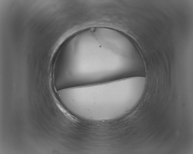 X0000051911511200507011520