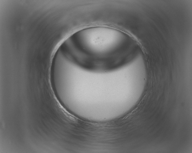 X0000051911512200507011520