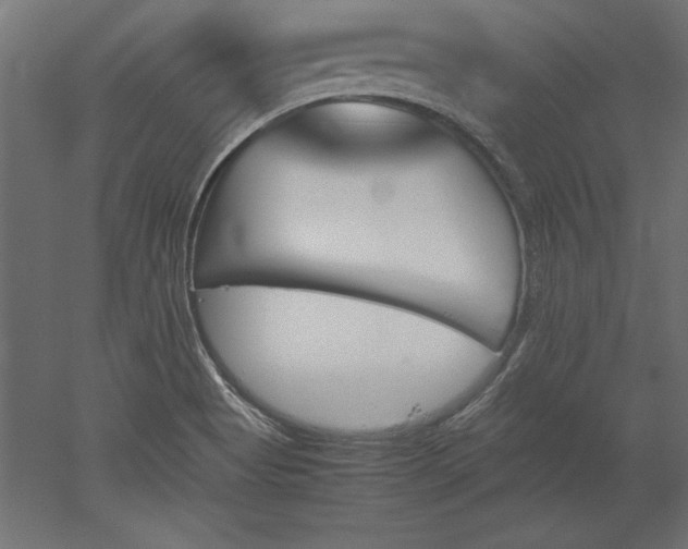 X0000051911513200507011520