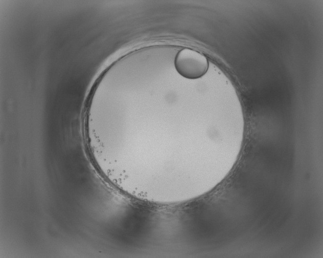 X0000051911514200507011520