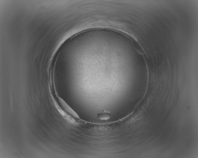 X0000051911515200507011520