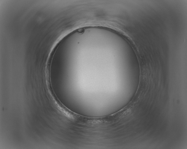 X0000051911517200507011520