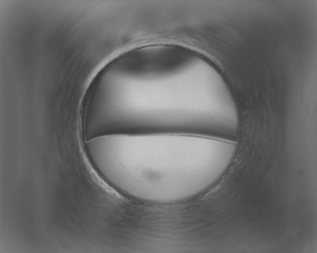 X0000051911518200507011520