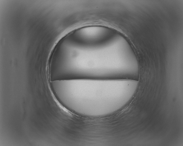 X0000051911519200507011520