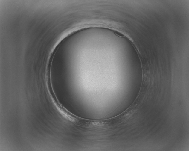 X0000051911523200507011520