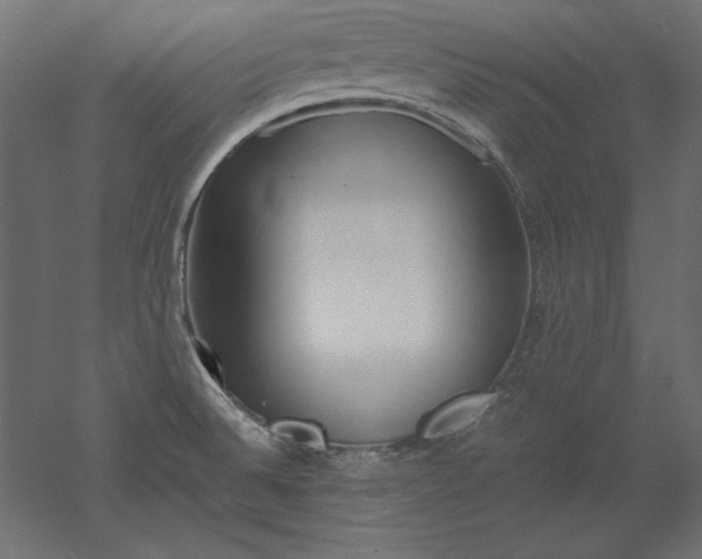 X0000051911524200507011520