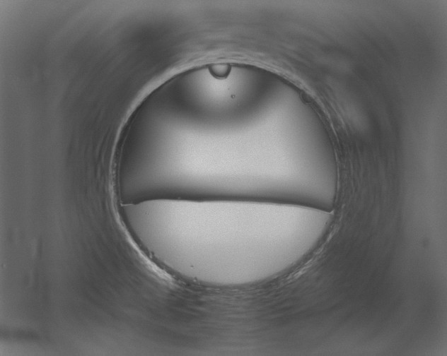 X0000051911525200507011520