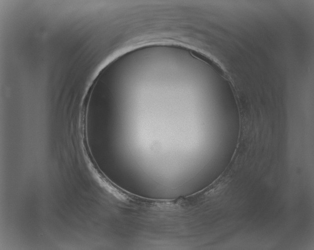 X0000051911526200507011520