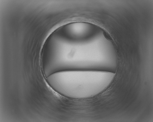 X0000051911527200507011520