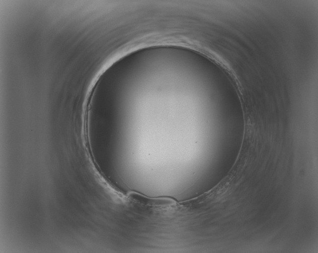 X0000051911528200507011520