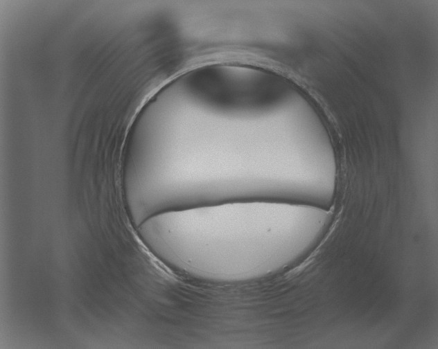 X0000051911529200507011520