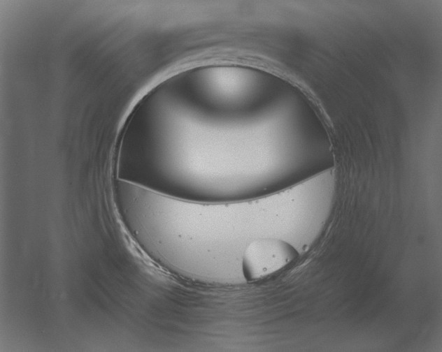 X0000051911530200507011520