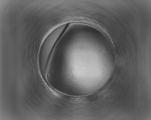 X0000051911533200507011520