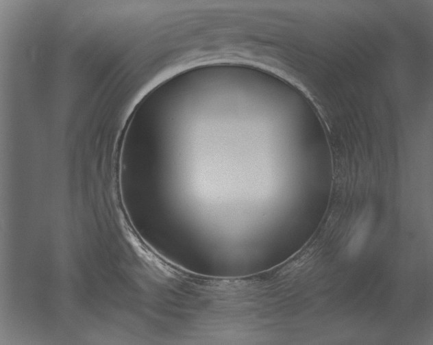 X0000051911534200507011520