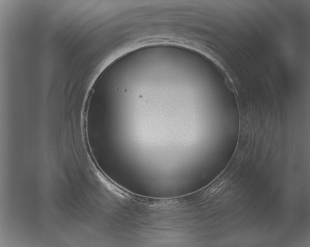 X0000051911535200507011520