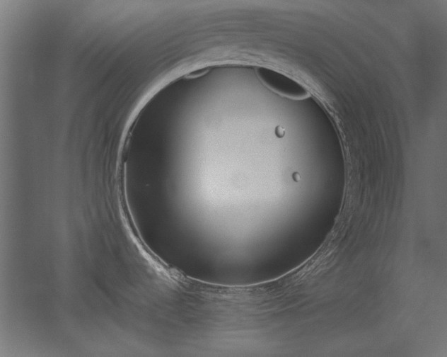 X0000051911536200507011520