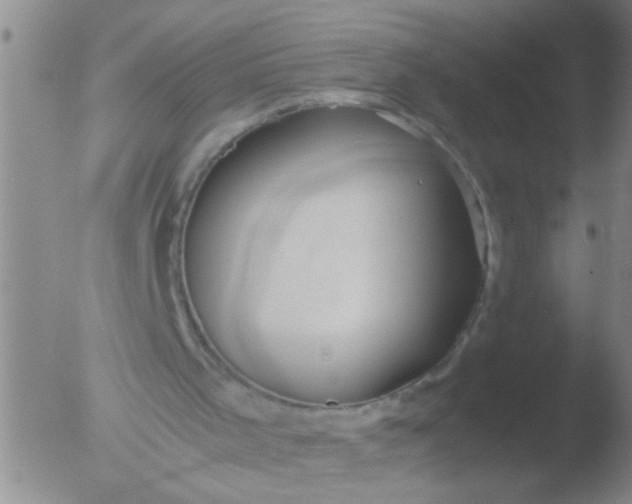 X0000051910001200507082041