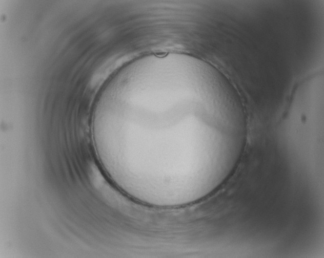 X0000051910002200507082041